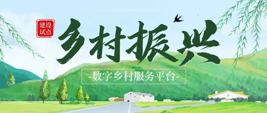 爱同城·美丽乡村服务平台正式上线，打造数字乡村建设试点！